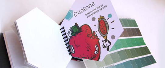 Fruit Box Fusion Chip book